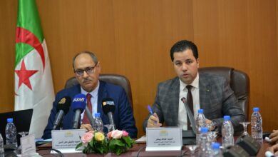 Creation of 160,202 projects within the framework of the National Fund for Unemployment Insurance - Al-Hiwar Algeria