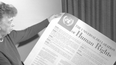 December 10, the 74th anniversary of the Universal Declaration of Human Rights - Al-Hiwar Al-Jazaeryia