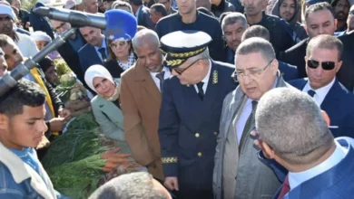 Minister of the Interior: Completion of all projects with 12 thousand shade areas before the end of the year - Al-Hiwar Algeria