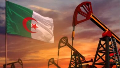 Outcome 2022... President Tebboune's economic strategy sets records in non-hydrocarbon exports - Al-Hiwar Al-Jazairia