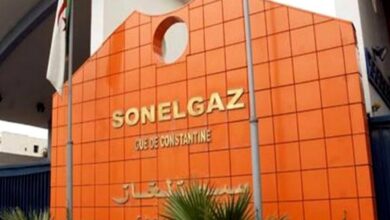 Sonelgaz: Connecting the Tafraoui industrial zone with electricity and putting into service the mobile station in Skikda - Al-Houwar Algeria