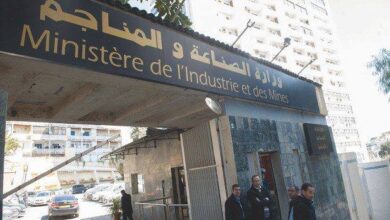 The third regional sessions on the development of the leather industry in Tlemcen - Al-Hiwar Algeria