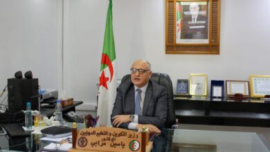 Yassin Marabi: The need to strengthen joint Arab action to protect Arab national security - Al-Hiwar Algeria