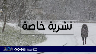 Special publication: Snow on heights ranging from 800 to 900 meters - Al-Hiwar Al-Jazairia