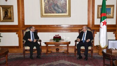 The President of the Republic receives the head of the Algerian Peace Society Movement - Al-Hiwar