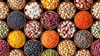 Economists: Prices of legumes.. towards a breakthrough - Al-Hiwar Al-Jazaeryia