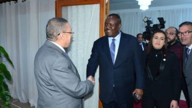 Pictures.. Murad receives the delegation of the African Parliament - Al-Hiwar Al-Jazaeryia