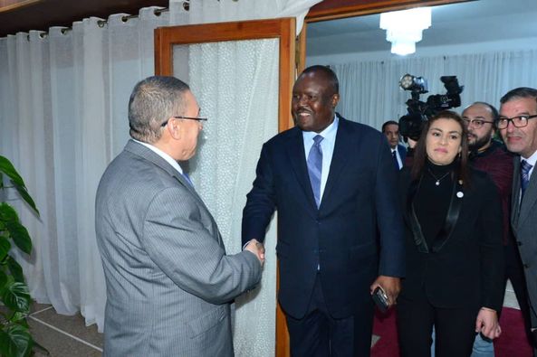 Pictures.. Murad receives the delegation of the African Parliament - Al-Hiwar Al-Jazaeryia