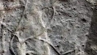 The Directorate of Culture clarifies the truth of the matter: rock inscriptions raise controversy in "Jijel" after the receding of the "sea" water