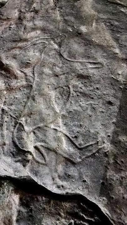 The Directorate of Culture clarifies the truth of the matter: rock inscriptions raise controversy in "Jijel" after the receding of the "sea" water