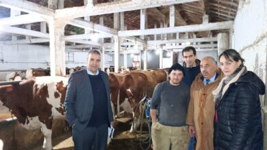 The parliamentary mission to investigate the causes of the scarcity of milk inspects farms for breeding dairy cows and dairy products in the state of Tizi Ouzou - Al Hewar Algeria