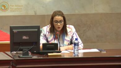 Algeria calls for a global digital pact that protects women's digital rights - Al-Hiwar Al-Jazaeryia