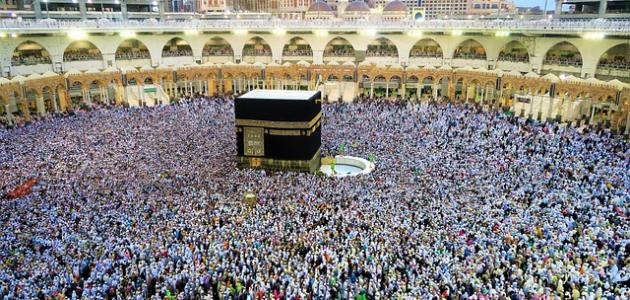 Announcing the cost of Hajj soon - Al-Hiwar Al-Jazaeryia