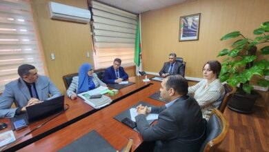 Belaribi orders to expedite the opening of the field of investment in the new city of Bogzoul - Al-Houwar, Algeria