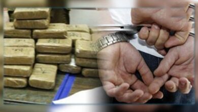 Boumerdes.. Arresting a drug dealer and confiscating 690 grams of treated kif - Al-Hiwar Al-Jazairia