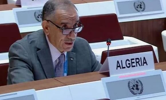 Lazhar Soualem responds to the heresies of the Moroccan delegation before the Human Rights Council - Al-Hiwar Algeria