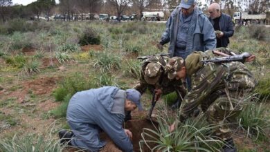 Pictures.. The army participates in the afforestation operation - Al-Hiwar Al-Jazaeryia