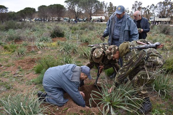 Pictures.. The army participates in the afforestation operation - Al-Hiwar Al-Jazaeryia