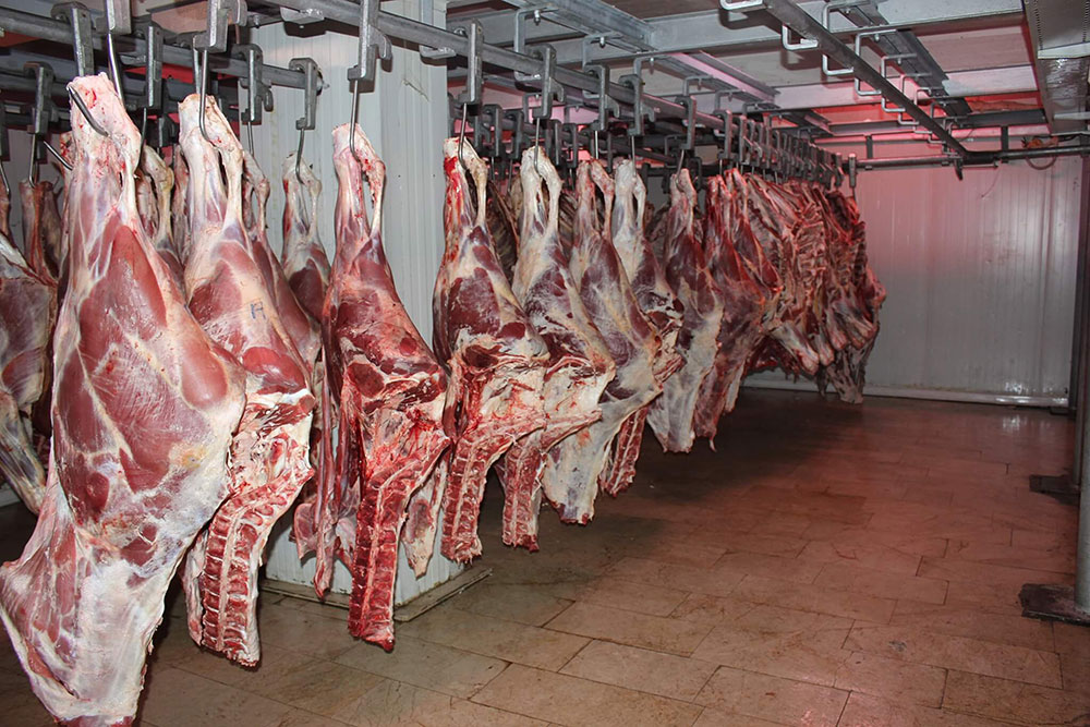 Pumping 30 thousand tons of imported meat during Ramadan at this price - Al-Hiwar Al-Jazaeryia