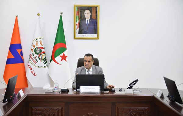 Strategic plan for the development of "Sonelgaz" for Horizons 2035 - Al-Hiwar Algeria