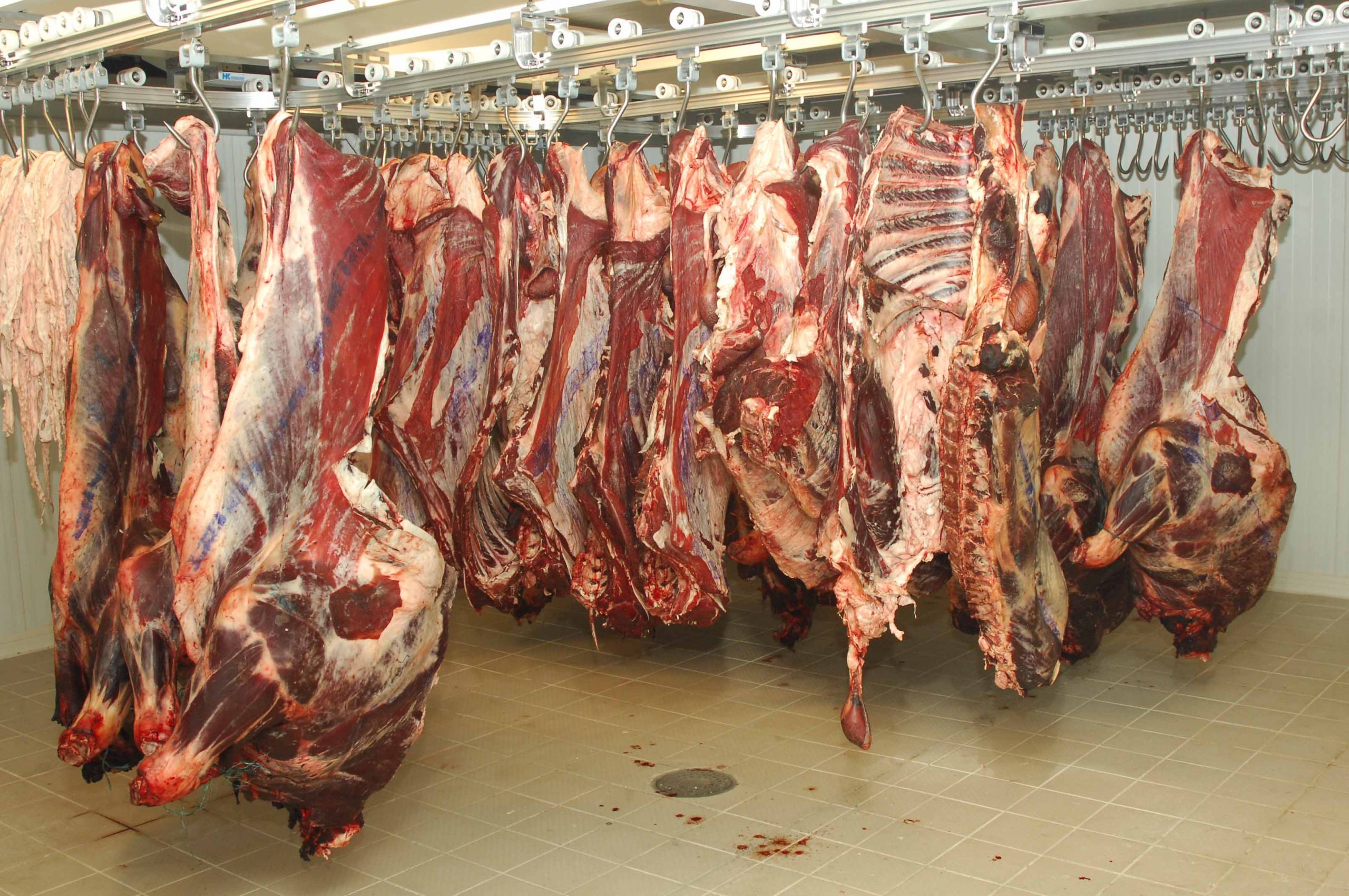 The National Gendarmerie seizes a huge amount of spoiled meat in Touggourt - El Hewar Algeria