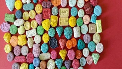In the form of sweets, the security of Oran discovers the most dangerous workshops for the manufacture of hallucinogenic pills - the Algerian dialogue