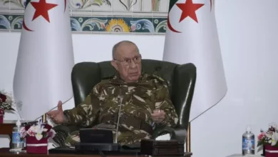 Lieutenant General Chanegriha warns of subversive organizations - Algerian dialogue