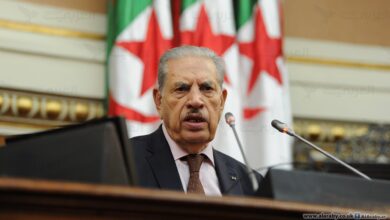 Saleh Goujil: We build a new Algeria to be perfect - Al-Hiwar Al-Jazairiah