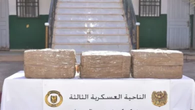 Thwarting the entry of large quantities of drugs across the western borders - Al-Hiwar Al-Jazaery