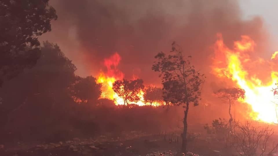 19,000 civil protection agents to fight forest fires - Al-Hiwar Al-Jazaery