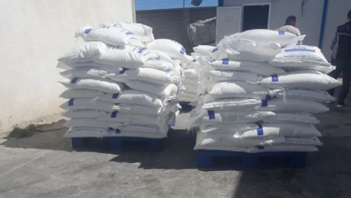 Al-Asimah: seizing 11 tons of sugar to be used as a substitute for a chemical additive to concrete - Al-Houwar Al-Jazairia