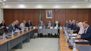 Minister of Labor: That is why the Eid Al-Fitr and Al-Adha holidays have been extended - Al-Hiwar Algeria