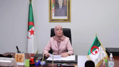 The Minister of Digitization urges urgent care of the issue of economic accounts - the Algerian dialogue