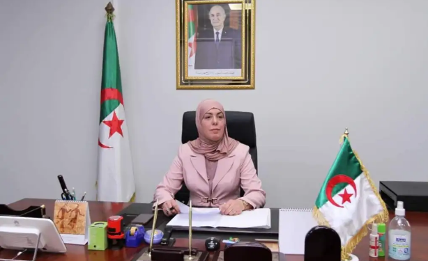 The Minister of Digitization urges urgent care of the issue of economic accounts - the Algerian dialogue