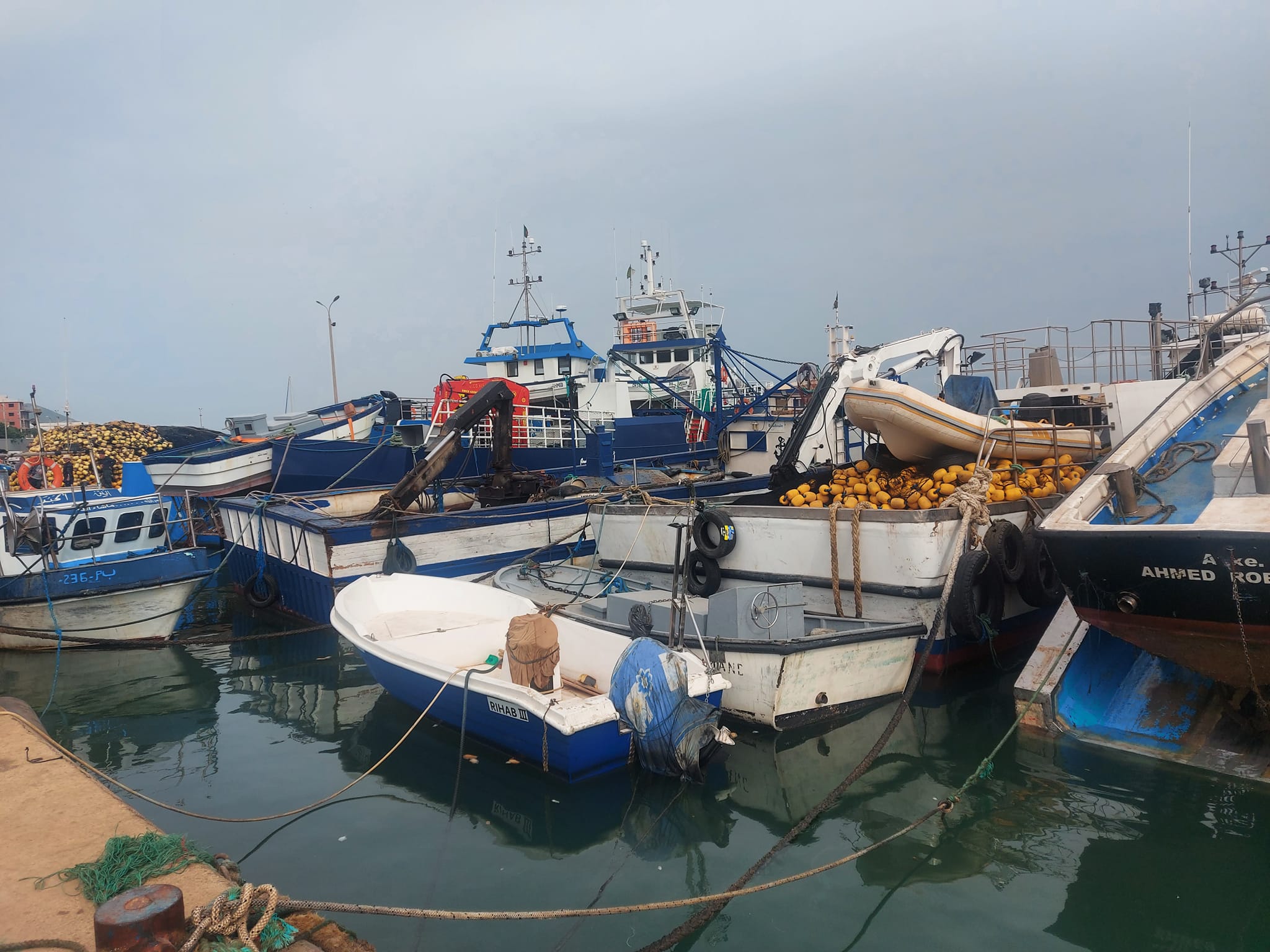 The launch of the national red tuna fishing campaign - Al-Hiwar Algeria