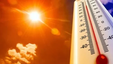 Special bulletin: Temperatures reach 44 degrees in these states tomorrow - Al-Hiwar Al-Jazaeryia