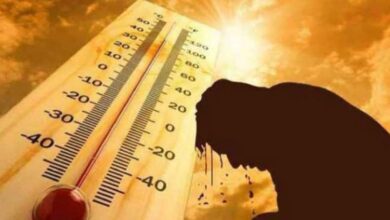 The Ministry of Health calls for preventive measures from the heat wave