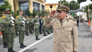 The Seventh Brigade supervises the graduation of new batches from the Military Higher School of Information and Communication - Al-Hiwar Algeria