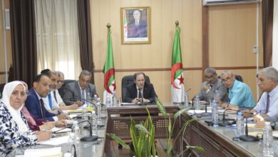 Belabed: Digitization of all schooling decisions in the next school entry - Al-Hiwar Algeria