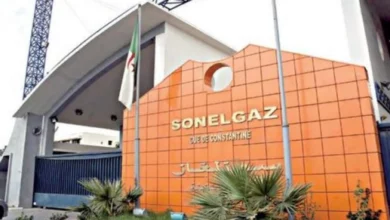 Sonelgaz: A new historical peak in electricity consumption today, Monday - Al-Hiwar Al-Jazairia