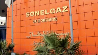 Sonelgaz records a third new historical peak in electricity consumption - El Hewar Algeria