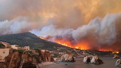 Bejaia: Arrest of the person responsible for the “Bolimat” fires