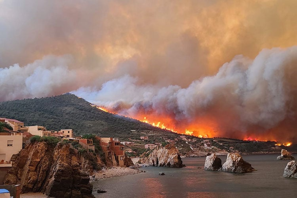 Bejaia: Arrest of the person responsible for the “Bolimat” fires