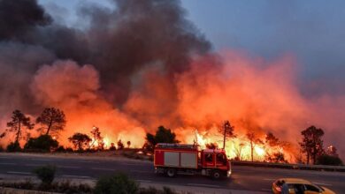 Approval of new measures to protect Algerians from natural disasters