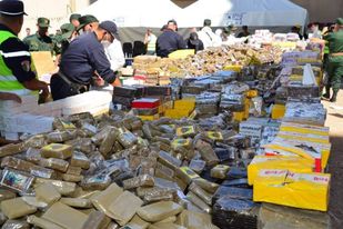 The army destroys a huge amount of drugs and psychotropic substances