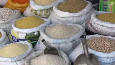 2000 additional points of sale to ensure the abundance of dry legumes and rice