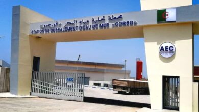 Boumerdes.. The Qorso seawater desalination plant reaches a peak production of 80,000 m3 per day - Algerian Dialogue