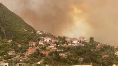 Civil Protection: extinguishing 10 fires in several states during the last 24 hours - Algerian Dialogue