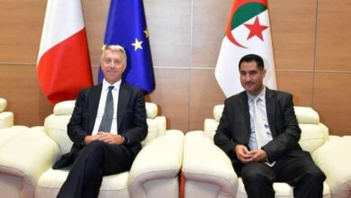 The Minister of Communication holds talks with the President of the Italian Council of State - Algerian Dialogue