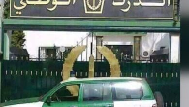 The capital.. The National Gendarmerie of Bismar stops five trucks of food commodities without invoices - Al-Hiwar Al-Jazairia